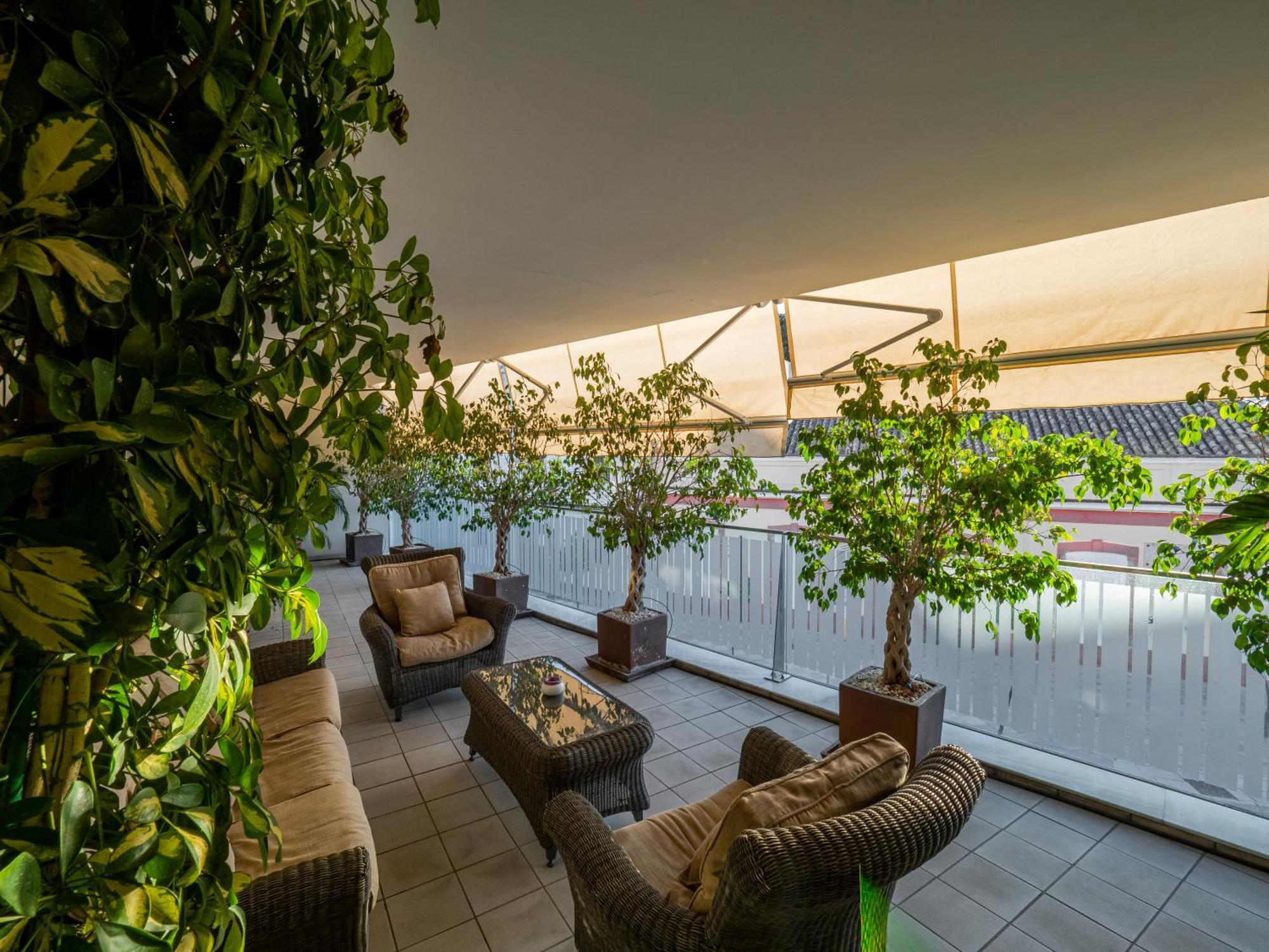 Apto Valdespino Gran Terraza Fjhomefj Jerez de la Frontera Eksteriør billede